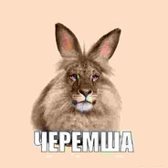 volodya