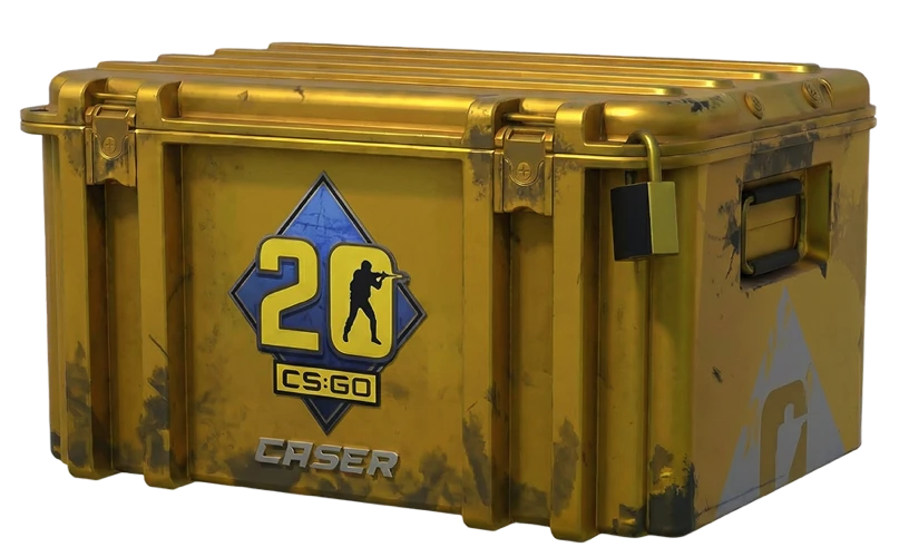 Кейс CS20